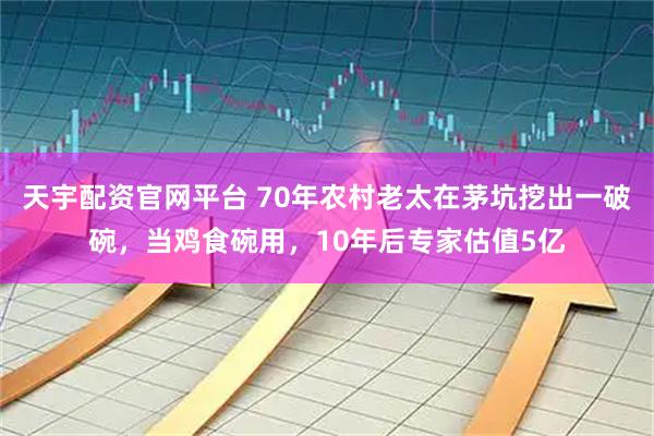 天宇配资官网平台 70年农村老太在茅坑挖出一破碗，当鸡食碗用，10年后专家估值5亿