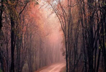 股票交易手机:炒股怎么选股票-全球市场：欧美股市收跌 纳指跌近1% 国际金价续创历史新高